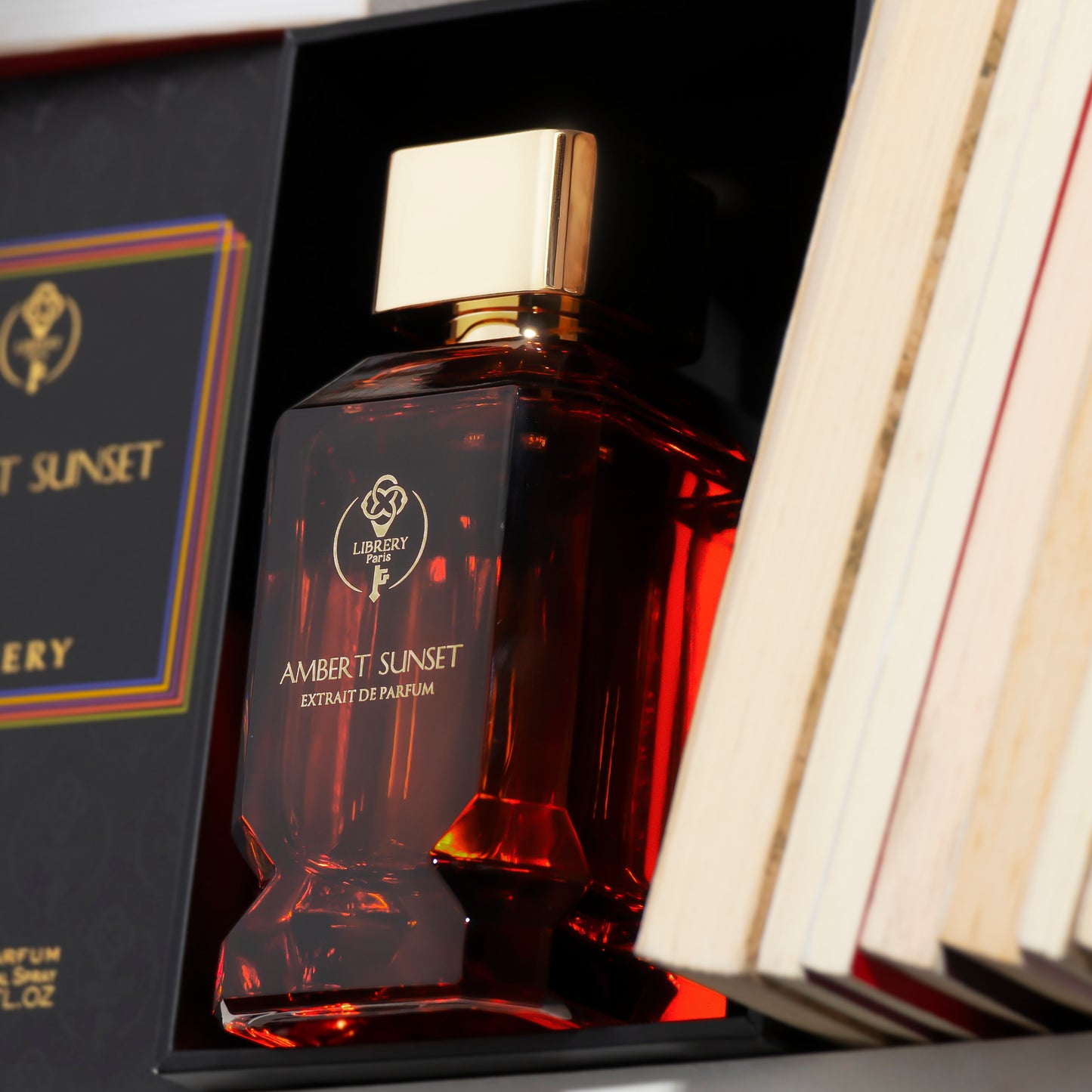 LIBRERY - Ambert Sunset